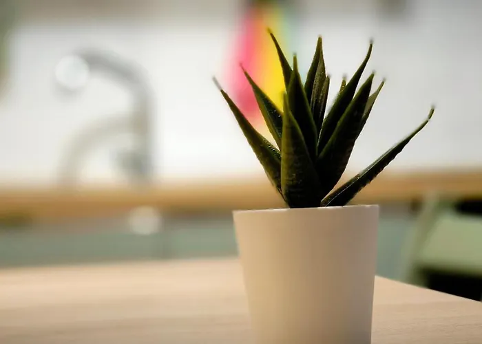 La Casa Di Vincenzo Неаполь